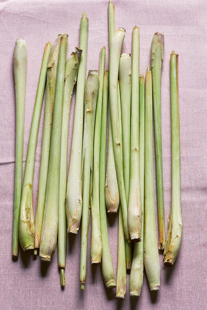 GASTEREAMAG-TONIC_PHOTOGRAPHY_PATRICIA_NIVEN_HARDIE_GRANT_GREENS