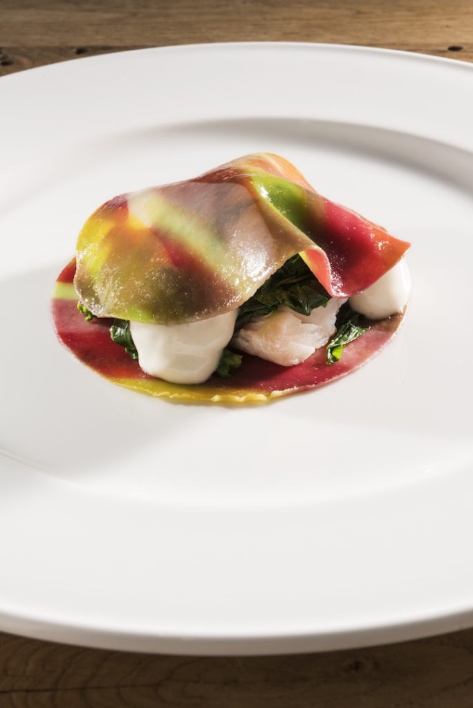 GASTEREAMAG_VIVIANA_VARESE_PORTRAIT_COVER