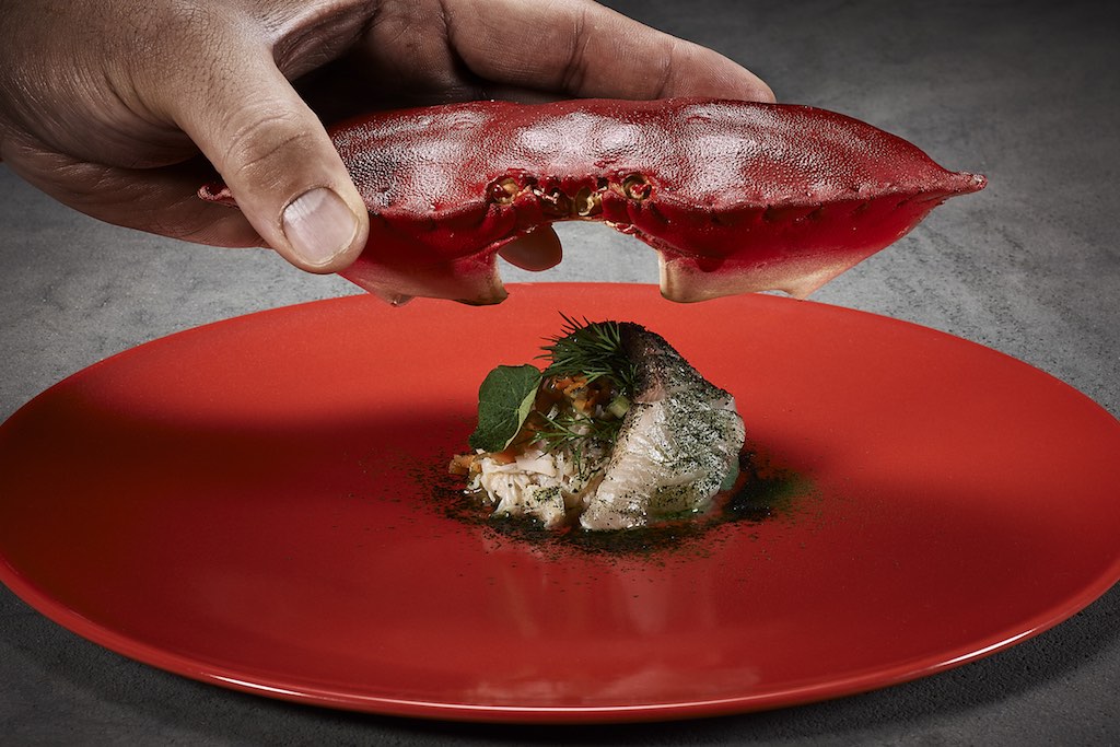 GASTEREAMAG_YOJI_TOKUYOSHI_CRAB_AND_HAND