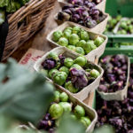 GASTEREAMAG_MARKTHALLE_BRUSSEL_SPROUTS