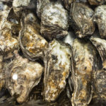 GASTEREAMAG_MARKTHALLE_NEUN_STREETFOOD_OYSTERS