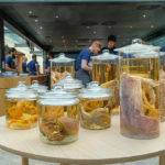 GASTEREAMAG_NOMA_SİBEL_KUTLUSOY_JARS_2