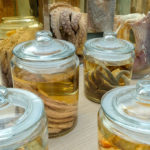 GASTEREAMAG_NOMA_SİBEL_KUTLUSOY_JARS_VERTICAL