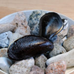 GASTEREAMAG_NOMA_SİBEL_KUTLUSOY_PEAR_AND_ROASTED_KELP_ICECREAM