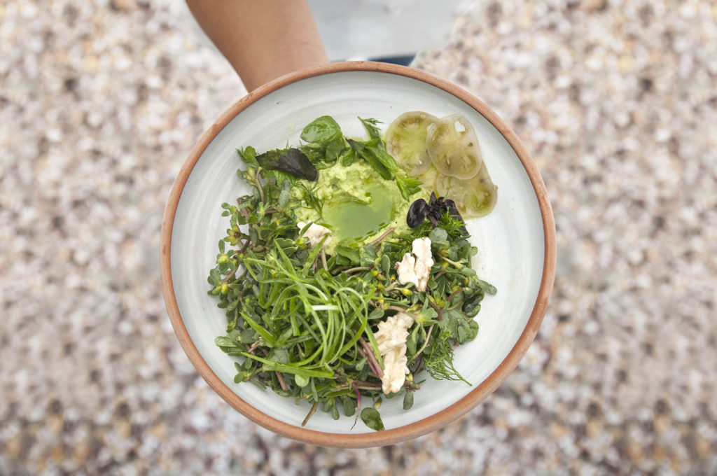 ARAKA SEMİZOTU SALATASI