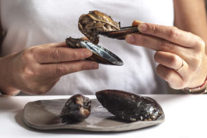 midye dolma açılırken