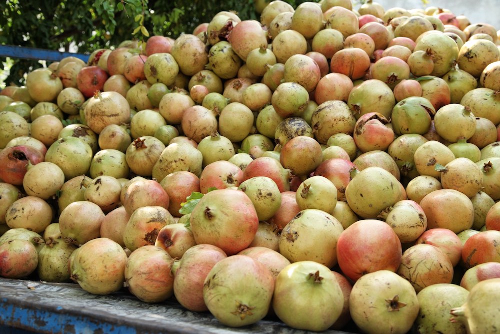 NAR - Fotoğraf: NİL ERDOĞAN - ©GastereaMag 2018.
