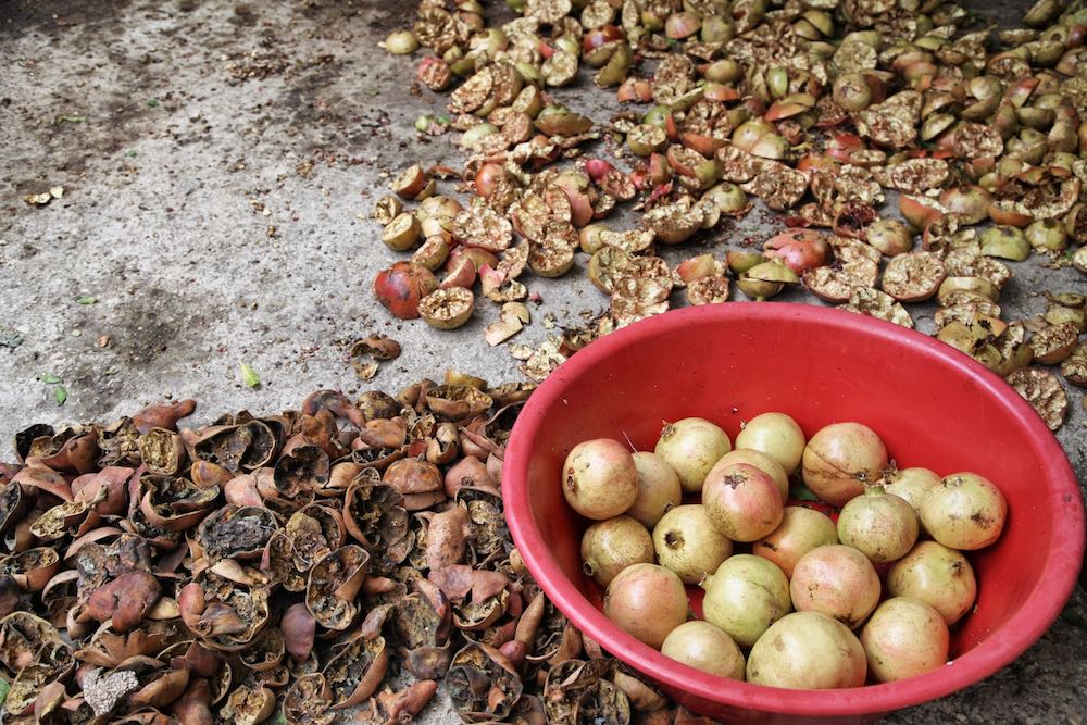 NAR - Fotoğraf: NİL ERDOĞAN - ©GastereaMag 2018.