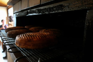 Çerkes peyniri yapımı